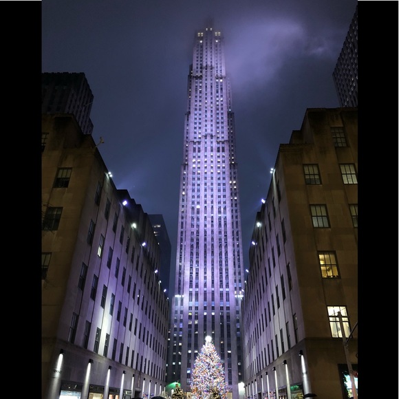 Meet your Posher, Donna - Picture 6 of 7